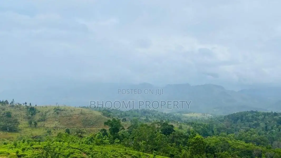 Land for Sale in Doluwa