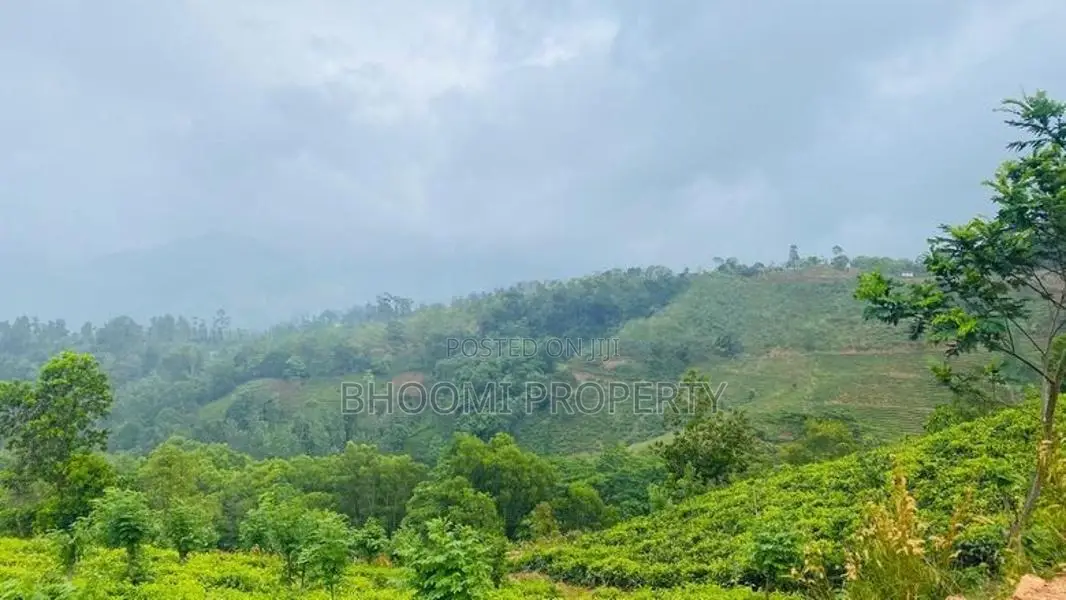 Land for Sale in Doluwa