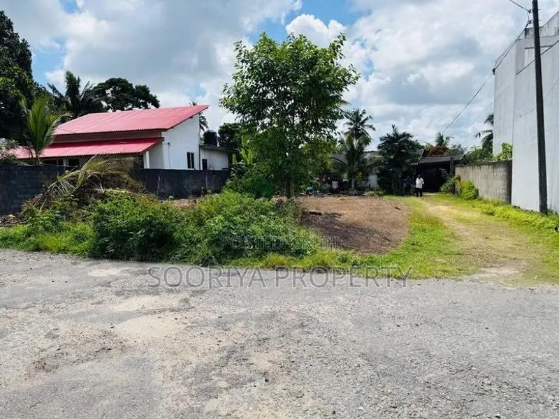 පර් .16 ක හතරැස් තැනිතලා ඉඩමක් විකිණීමට - Piliyandala Miriswattha