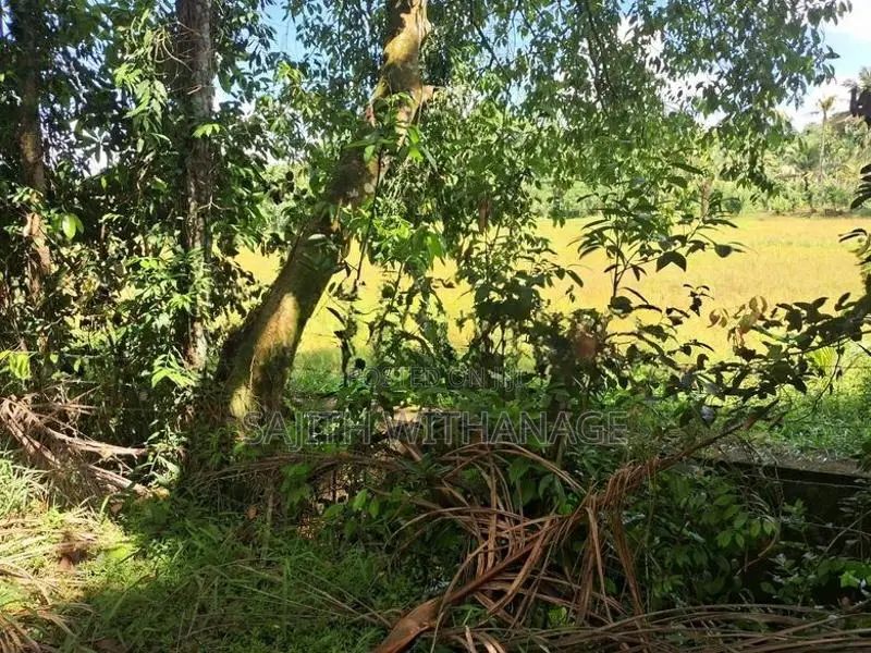 Land for Sale Homagama