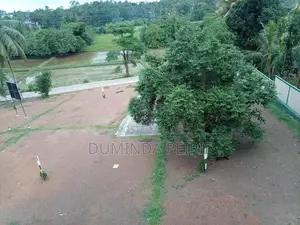 120 බස් පාරට සමීපයෙන් වෙල් යායකට මුහුණලා වටිනා බිම් කොටස් - Piliyandal