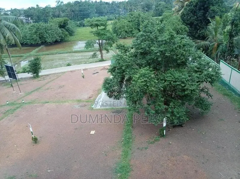 120 බස් පාරට සමීපයෙන් වෙල් යායකට මුහුණලා වටිනා බිම් කොටස් - Piliyandal