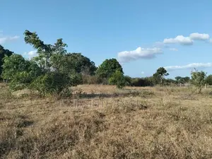 Land Sale Tharanikkulam