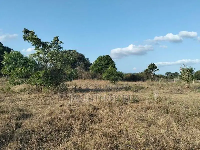 Land Sale Tharanikkulam