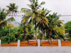 Weligama - Midigama Superb Tourism Land Plots Sale