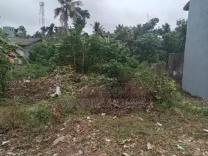 Super Land for Sale Boralasgamuwa