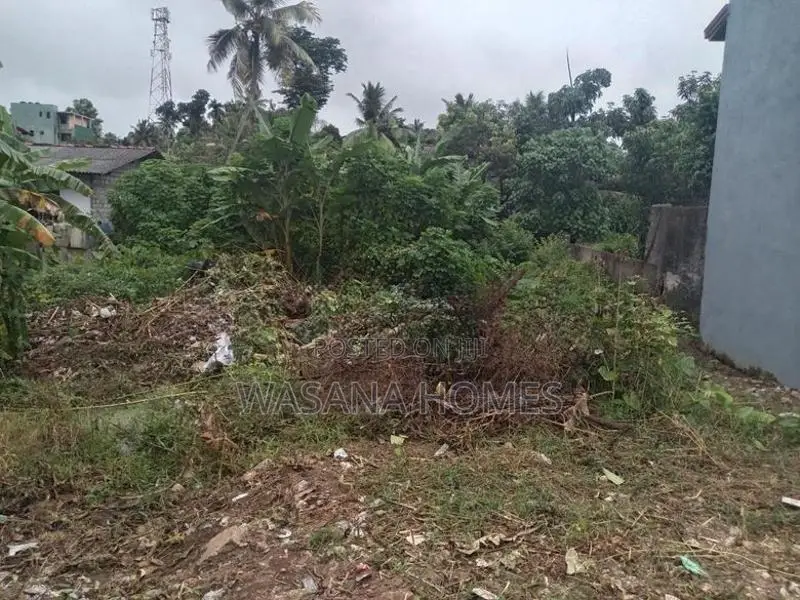 Super Land for Sale Boralasgamuwa