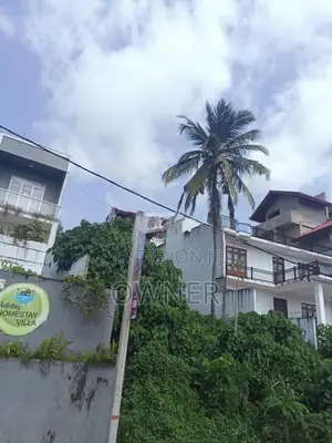 Homestay Luxury Annex Rent Makola South