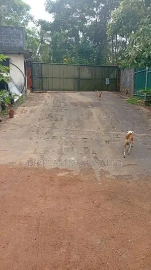 Warehouse for Long-Term Rent Kadawatha