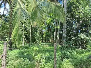Land for Sale Homagama