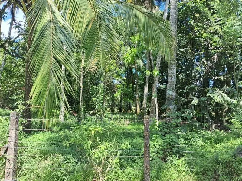 Land for Sale Homagama