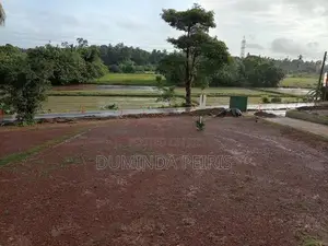 120 බස් පාරට සමීපයෙන් වෙල් යායකට මුහුණලා වටිනා බිම් කොටස් - Piliyandal