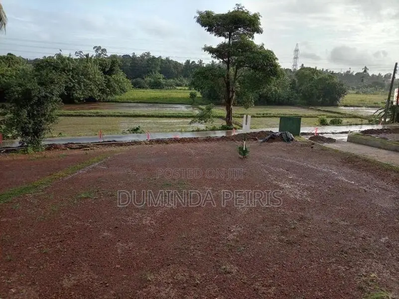 120 බස් පාරට සමීපයෙන් වෙල් යායකට මුහුණලා වටිනා බිම් කොටස් - Piliyandal
