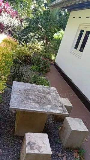 Premium Fruit Garden Property for Sale – Giriulla