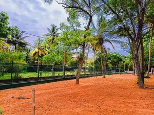 Weligama - Midigama Superb Tourism Land Plots Sale