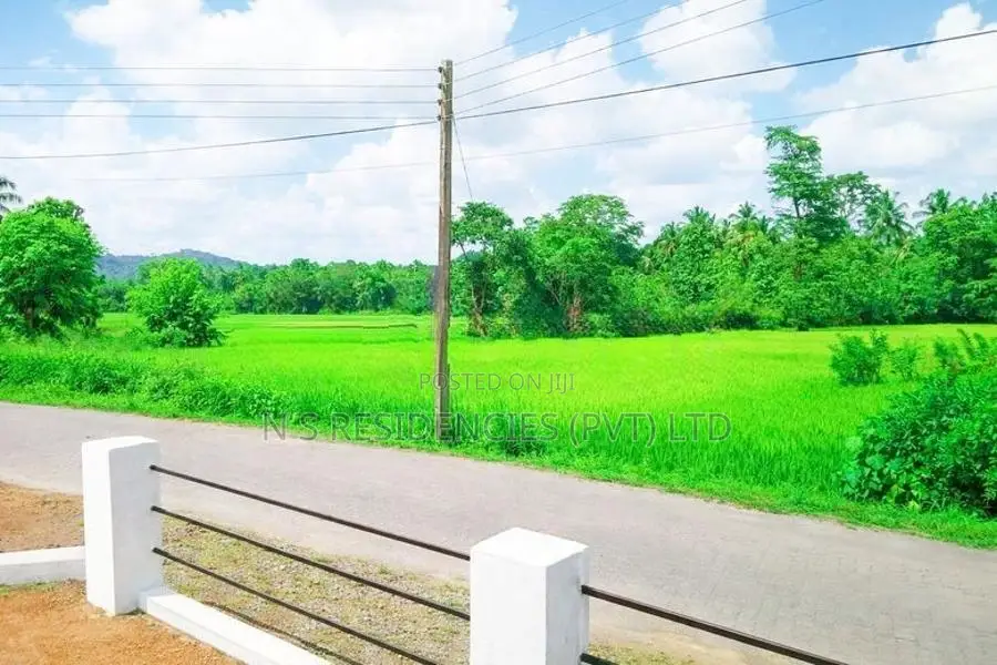 Giriulla Residential Land for Sale P5