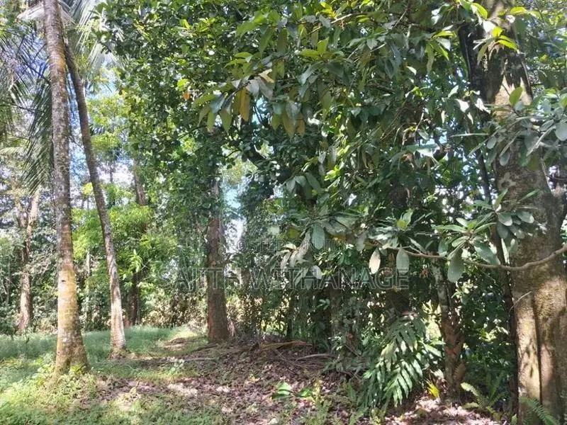 Land for Sale Homagama