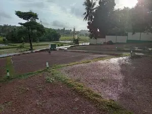 120 බස් පාරට සමීපයෙන් වෙල් යායකට මුහුණලා වටිනා බිම් කොටස් - Piliyandal