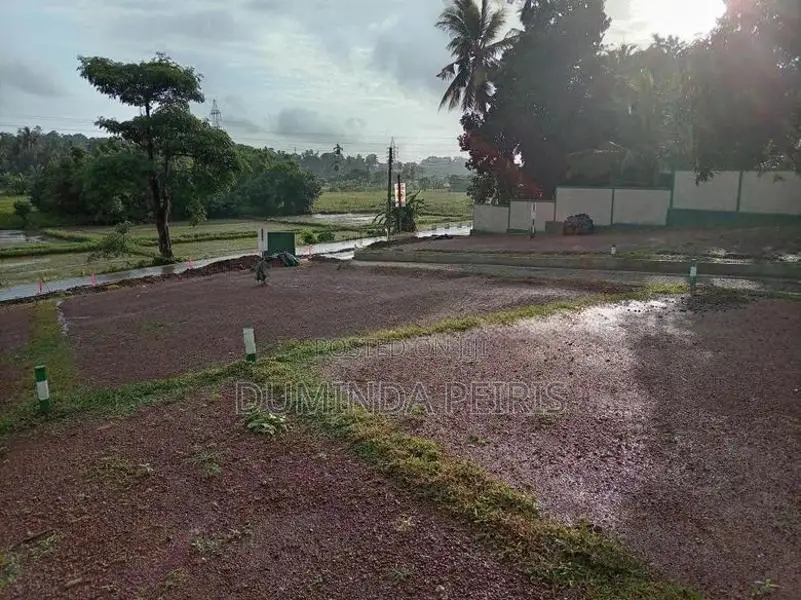 120 බස් පාරට සමීපයෙන් වෙල් යායකට මුහුණලා වටිනා බිම් කොටස් - Piliyandal