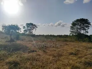 Land Sale Tharanikkulam