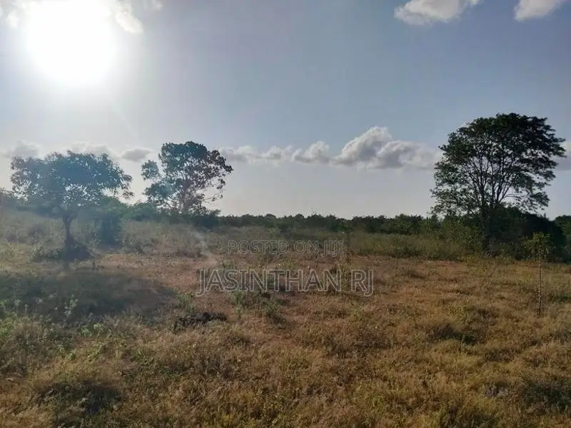 Land Sale Tharanikkulam