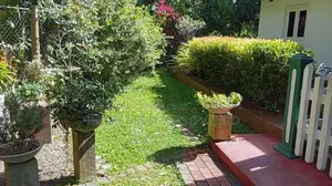 Premium Fruit Garden Property for Sale – Giriulla