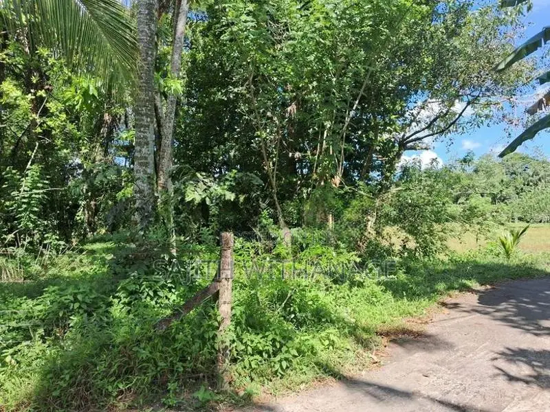 Land for Sale Homagama