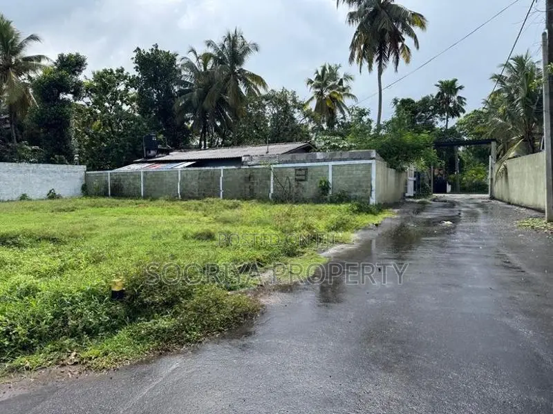 වටිනා ඉඩමක් විකිණීමට ඇත - Piliyandala