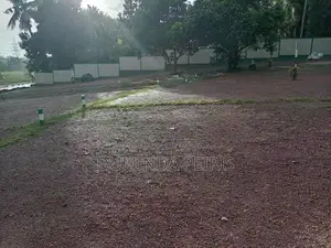 120 බස් පාරට සමීපයෙන් වෙල් යායකට මුහුණලා වටිනා බිම් කොටස් - Piliyandal
