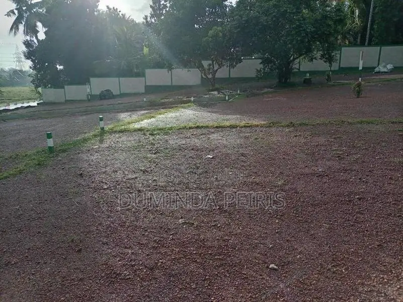 120 බස් පාරට සමීපයෙන් වෙල් යායකට මුහුණලා වටිනා බිම් කොටස් - Piliyandal