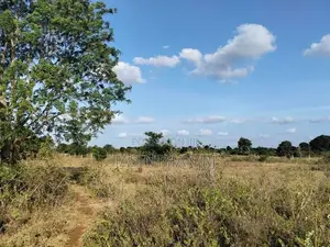 Land Sale Tharanikkulam