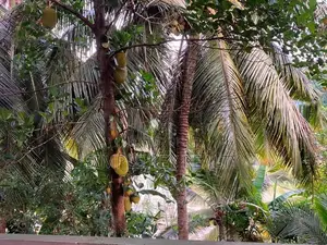 Three Story House for Rent Gampaha Rathupaswala