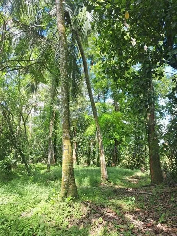 Land for Sale Homagama