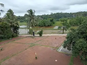 120 බස් පාරට සමීපයෙන් වෙල් යායකට මුහුණලා වටිනා බිම් කොටස් - Piliyandal