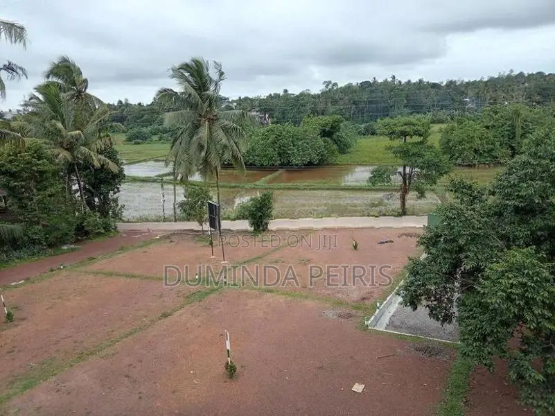 120 බස් පාරට සමීපයෙන් වෙල් යායකට මුහුණලා වටිනා බිම් කොටස් - Piliyandal