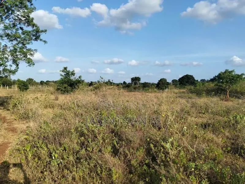 Land Sale Tharanikkulam