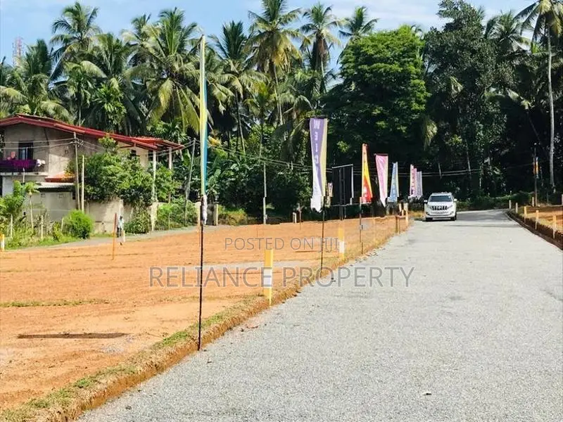පිටිපනින් පදිංචියටත් කදිම බිම් කොටස්