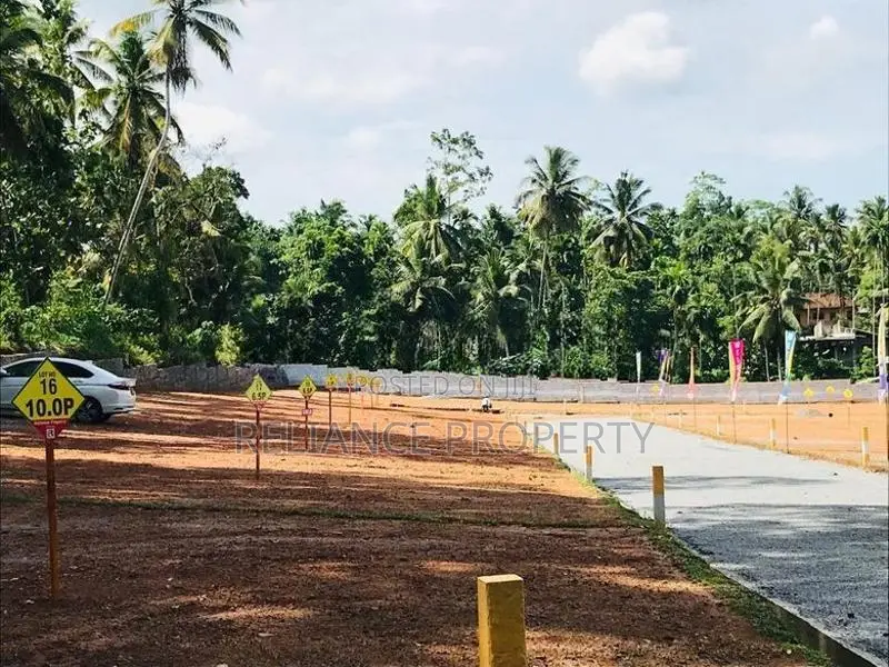 පිටිපනින් පදිංචියටත් කදිම බිම් කොටස්