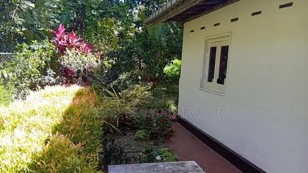 Premium Fruit Garden Property for Sale – Giriulla