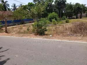 Jaffna Land Sale