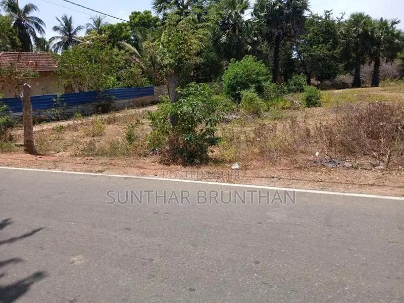 Jaffna Land Sale