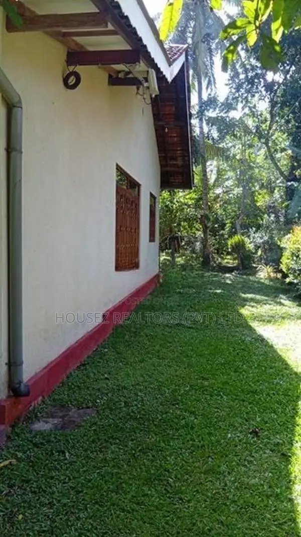 Premium Fruit Garden Property for Sale – Giriulla