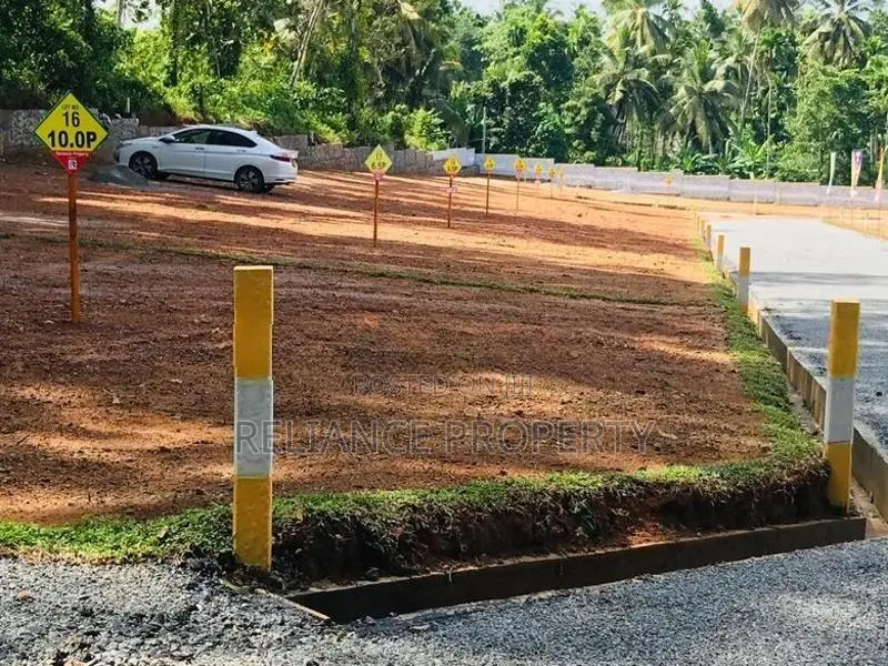 පිටිපනින් පදිංචියටත් කදිම බිම් කොටස්