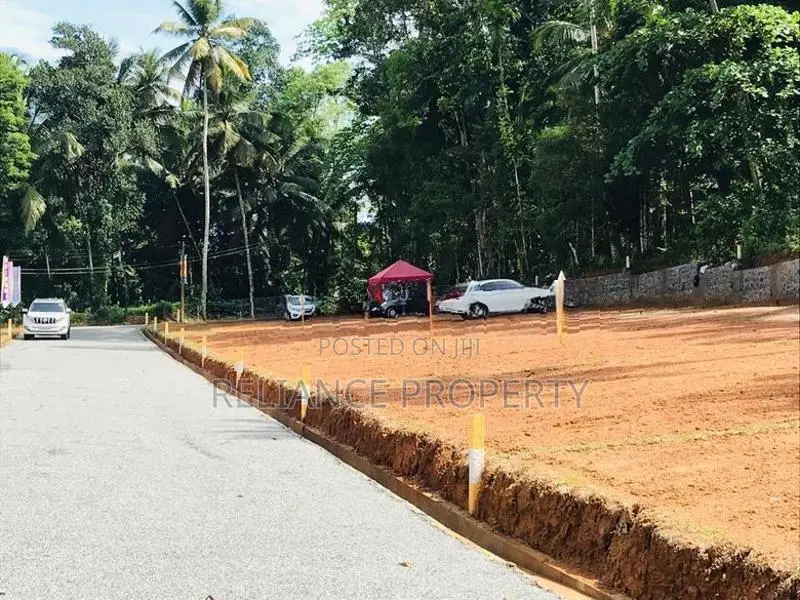 පිටිපනින් පදිංචියටත් කදිම බිම් කොටස්
