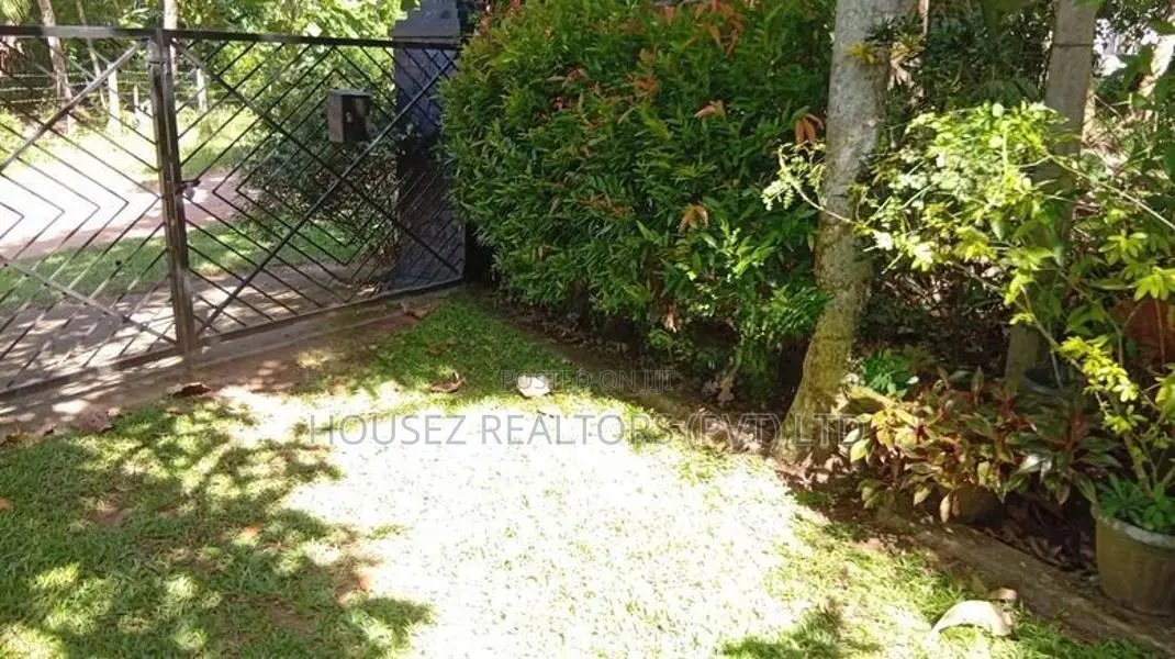 Premium Fruit Garden Property for Sale – Giriulla
