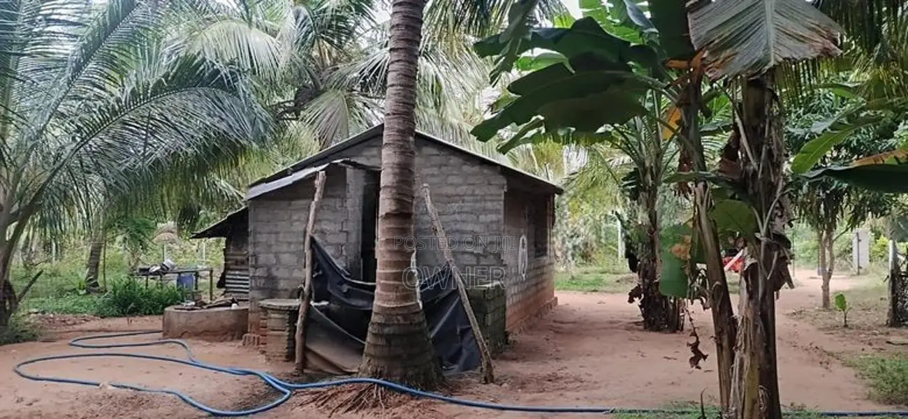 Coconut Land For Sale in Puttalam City