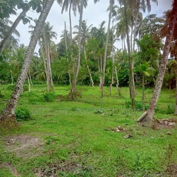 විගඩ බෙම්මුල්ලෙන් ඉඩමක්