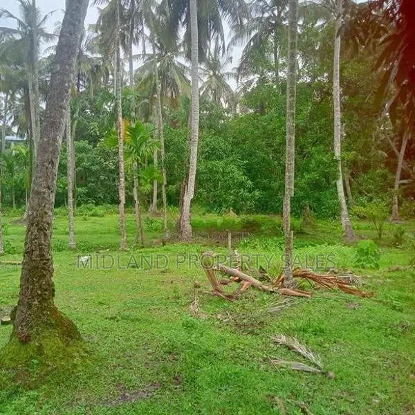 විගඩ බෙම්මුල්ලෙන් ඉඩමක්