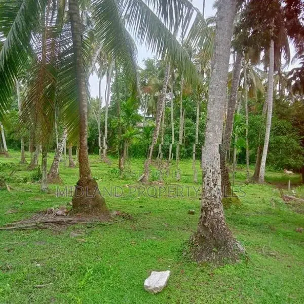 විගඩ බෙම්මුල්ලෙන් ඉඩමක්