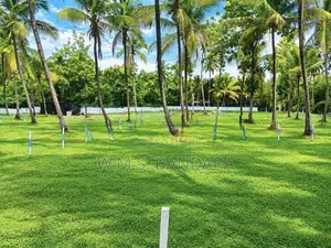Residential Land for Sale in Malsiripura D05